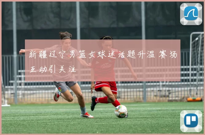 新疆辽宁男篮女球迷话题升温 赛场互动引关注
