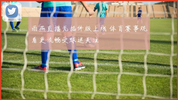 雨燕直播无插件版上线 体育赛事观看更流畅受球迷关注