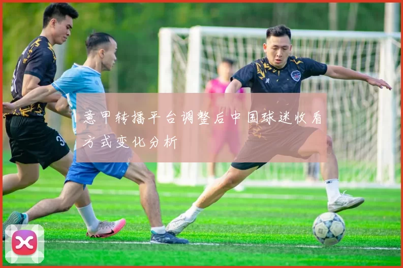 意甲转播平台调整后中国球迷收看方式变化分析