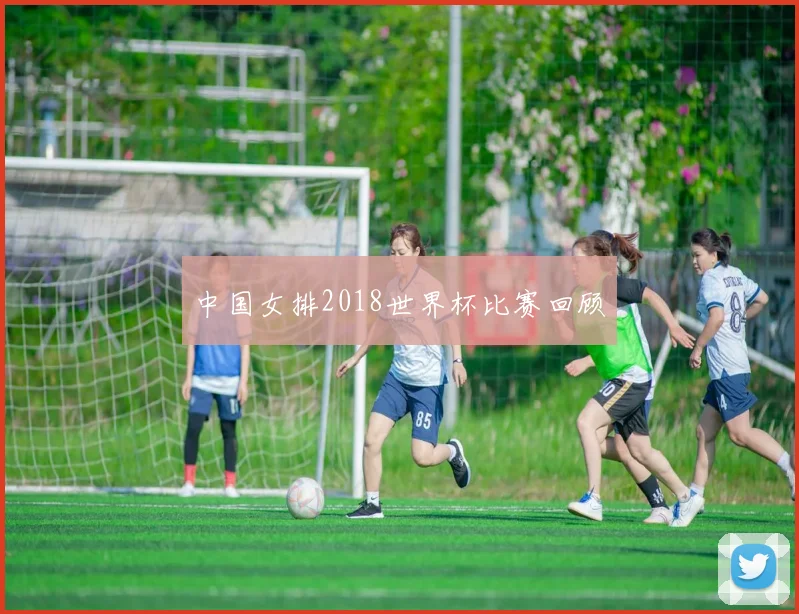 中国女排2018世界杯比赛回顾