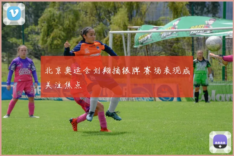 北京奥运会刘翔摘银牌 赛场表现成关注焦点